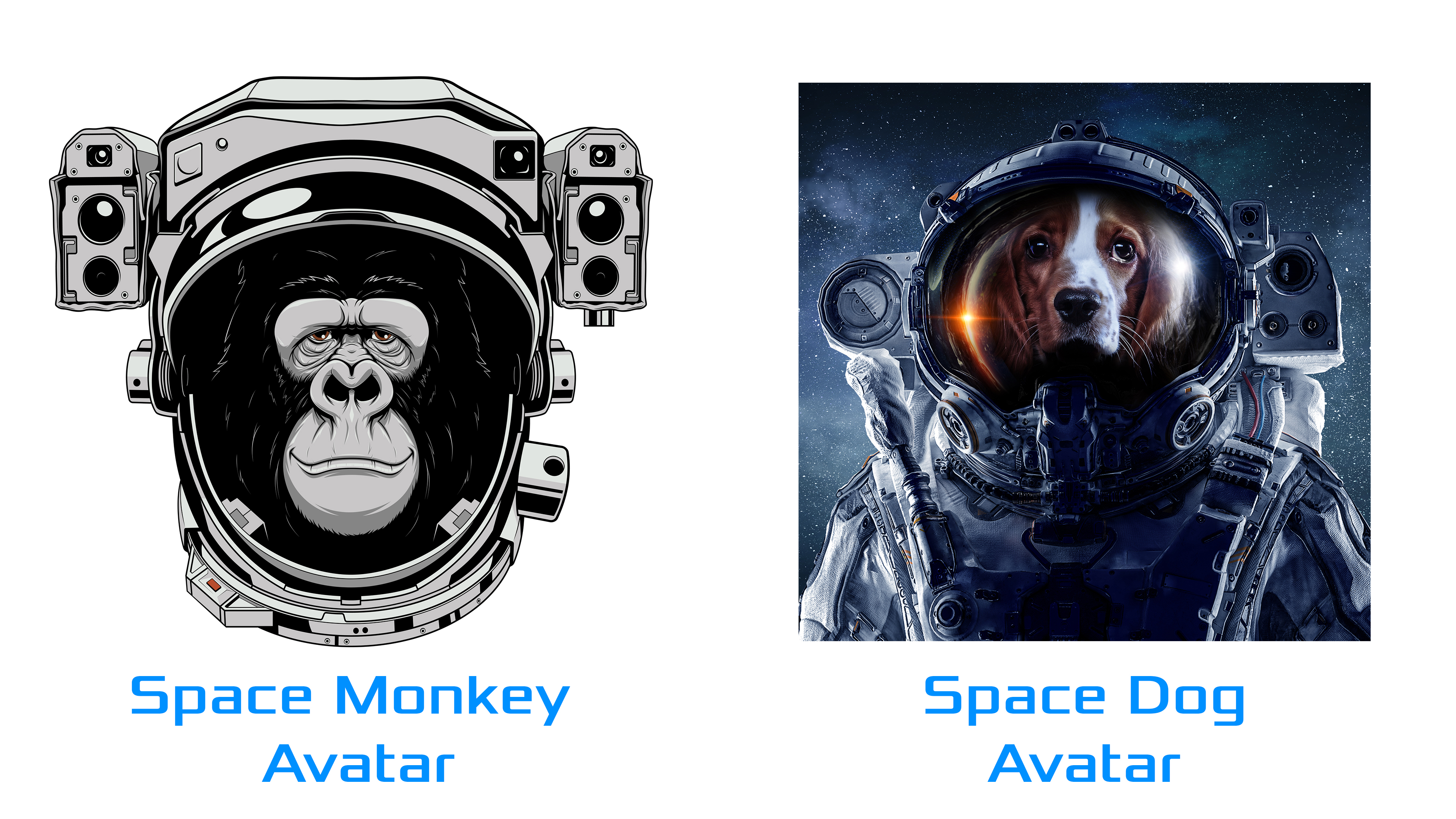 Fluxteria Space Bundle