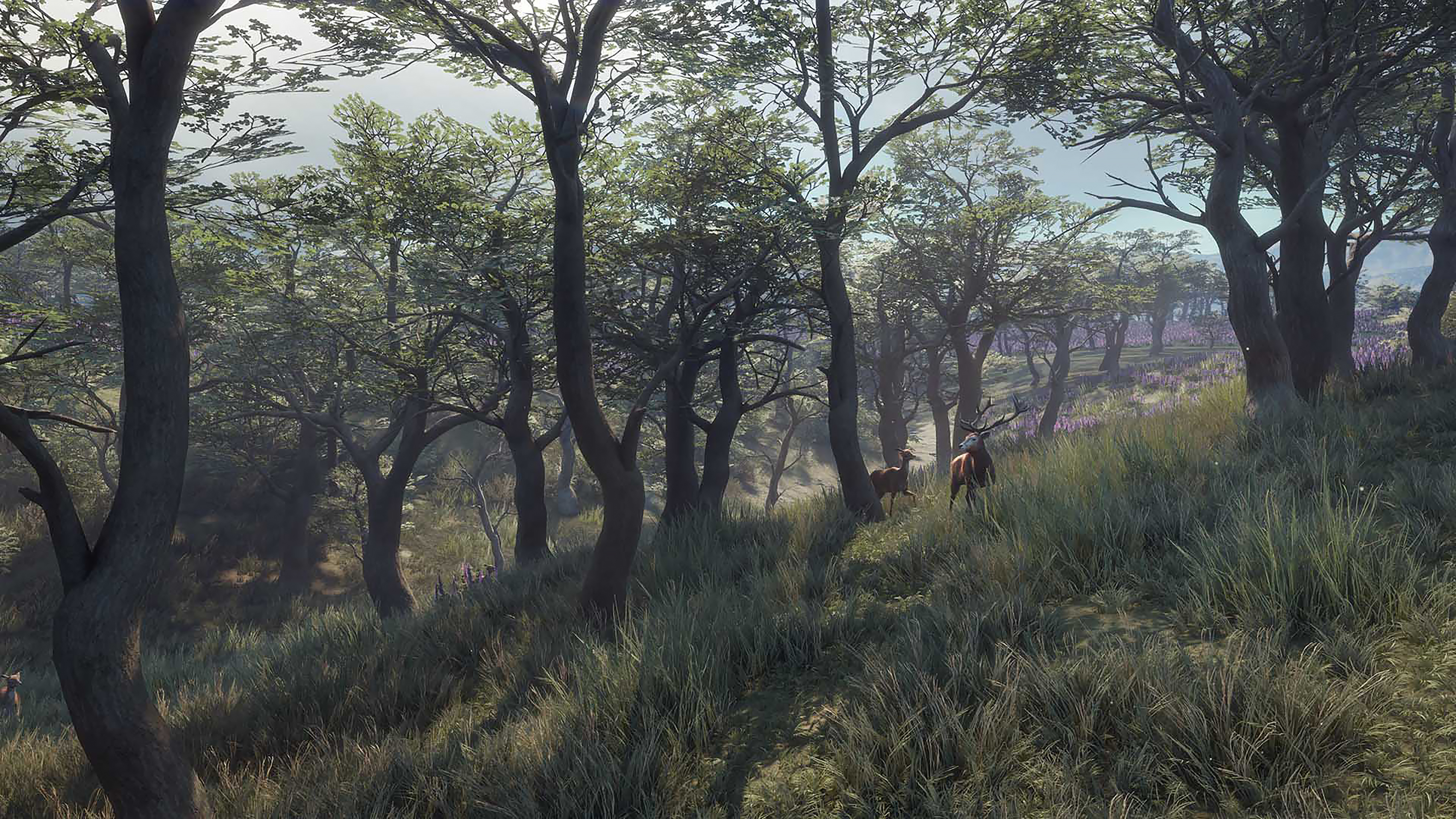 Thehunter Call Of The Wild 21 Edition On Ps4 Price History Screenshots Discounts Espana