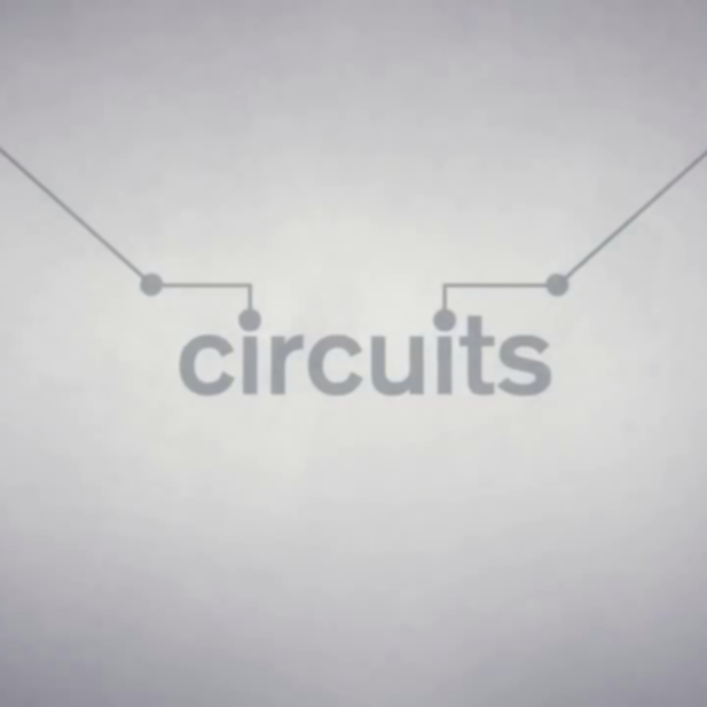 Circuits PS4 Price España