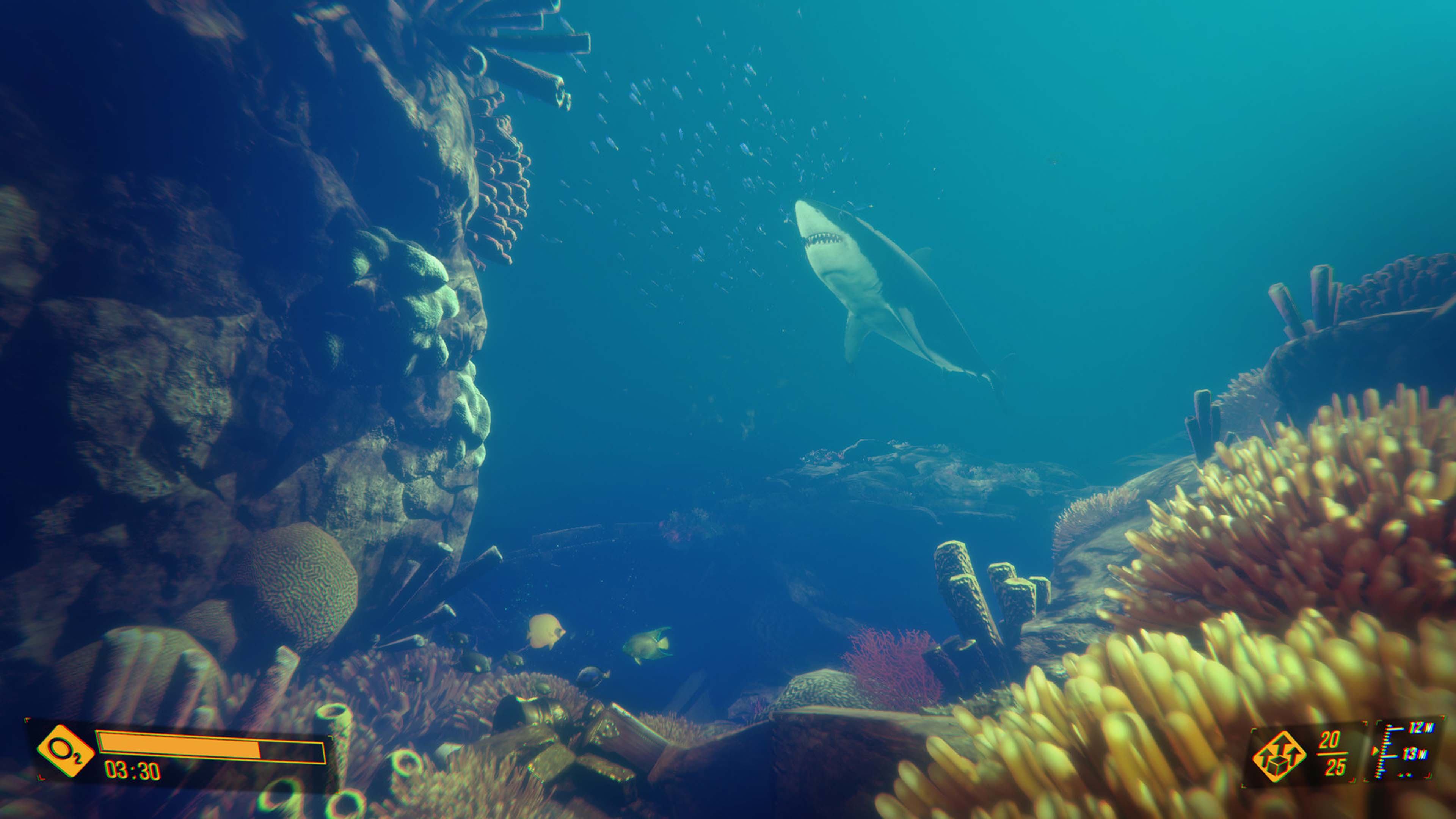 Симуляторы дайвинга. World of diving игра. Симулятор дайвинга. Симуляторы дайвинга. Дайвинг игра.