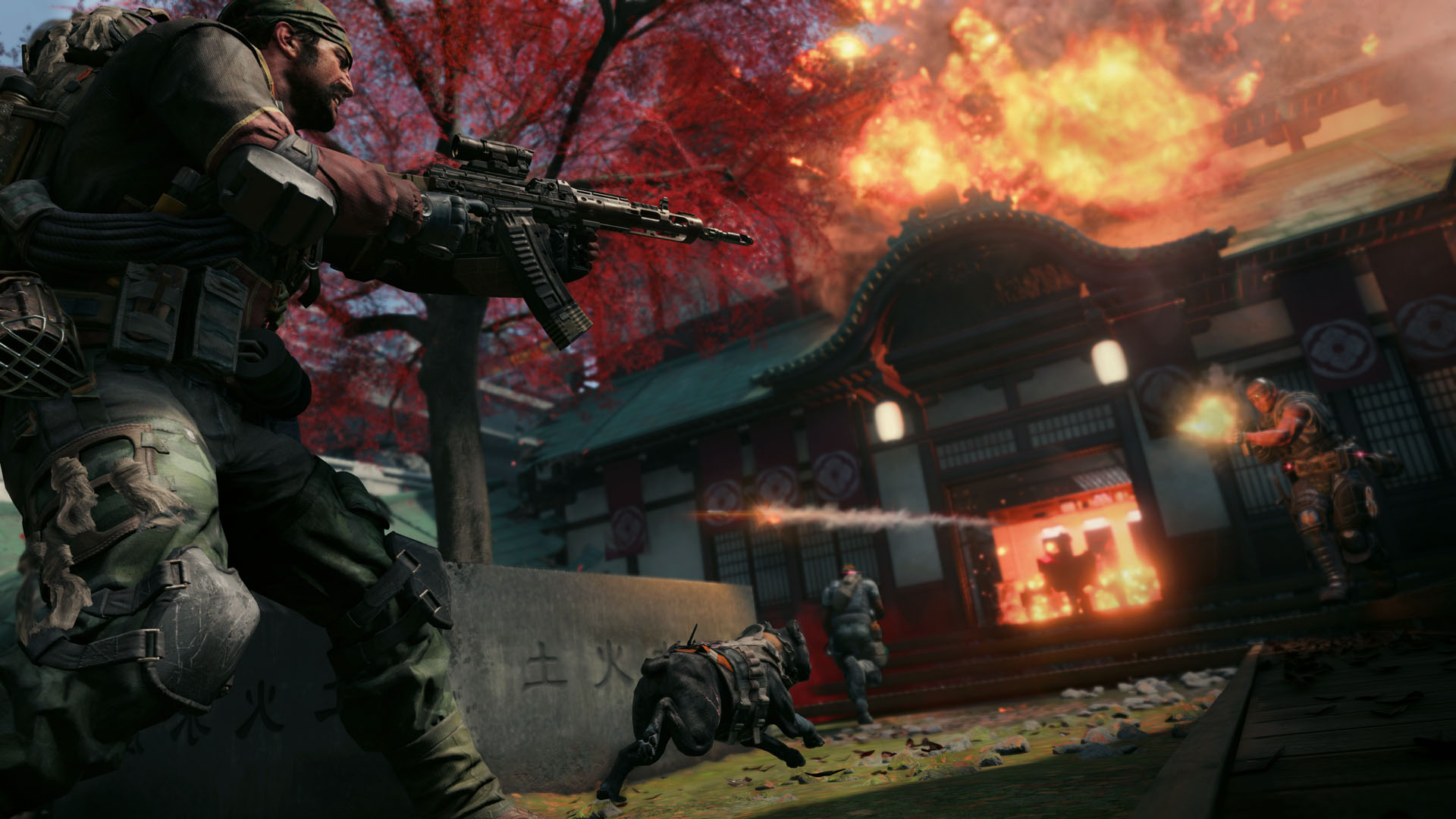 Скриншот №8 к Call of Duty Black Ops 4 - Digital Deluxe