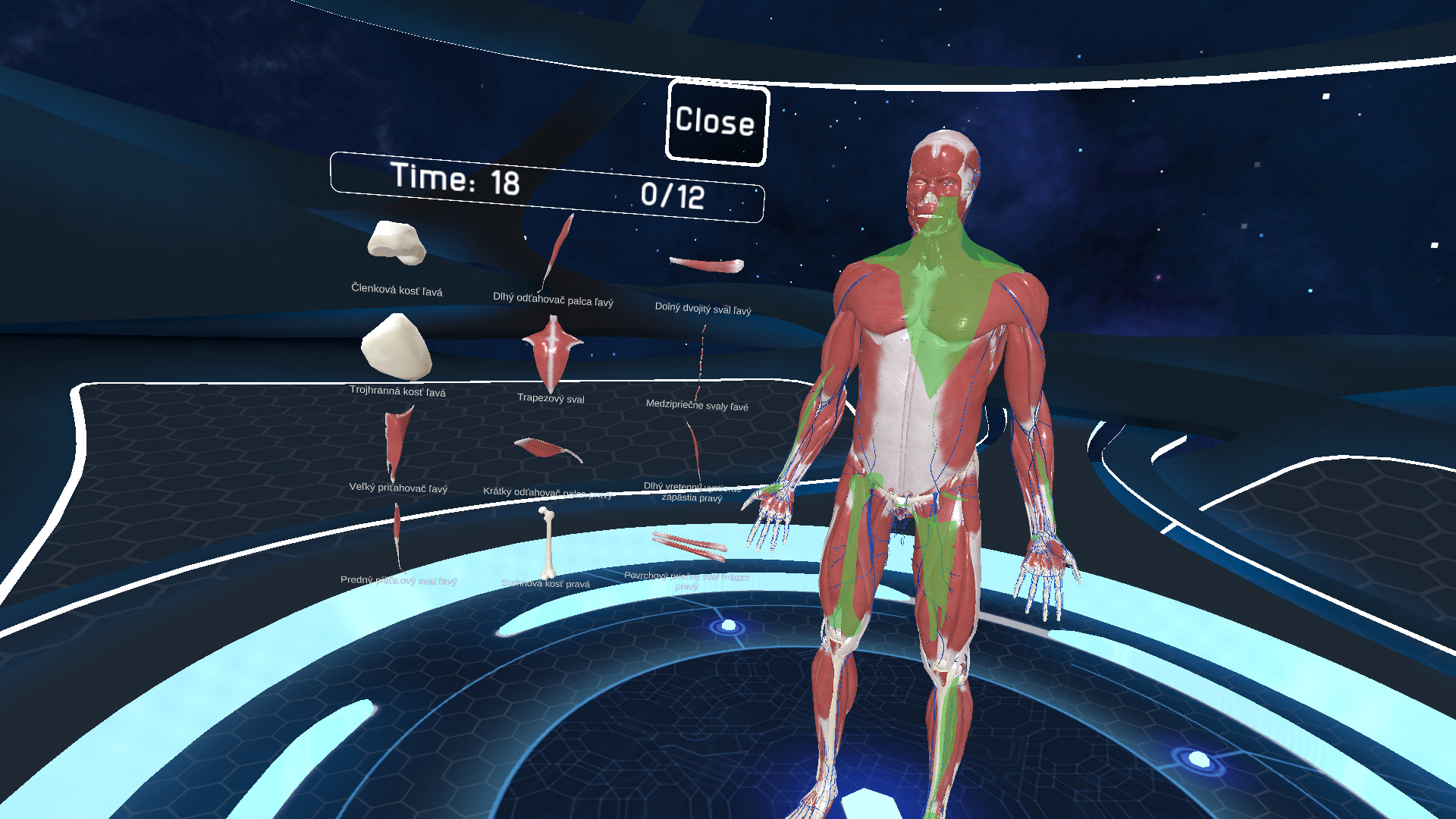 Human Anatomy VR. Loading Human VR [ps4]. VR Human. Human как играть по сети