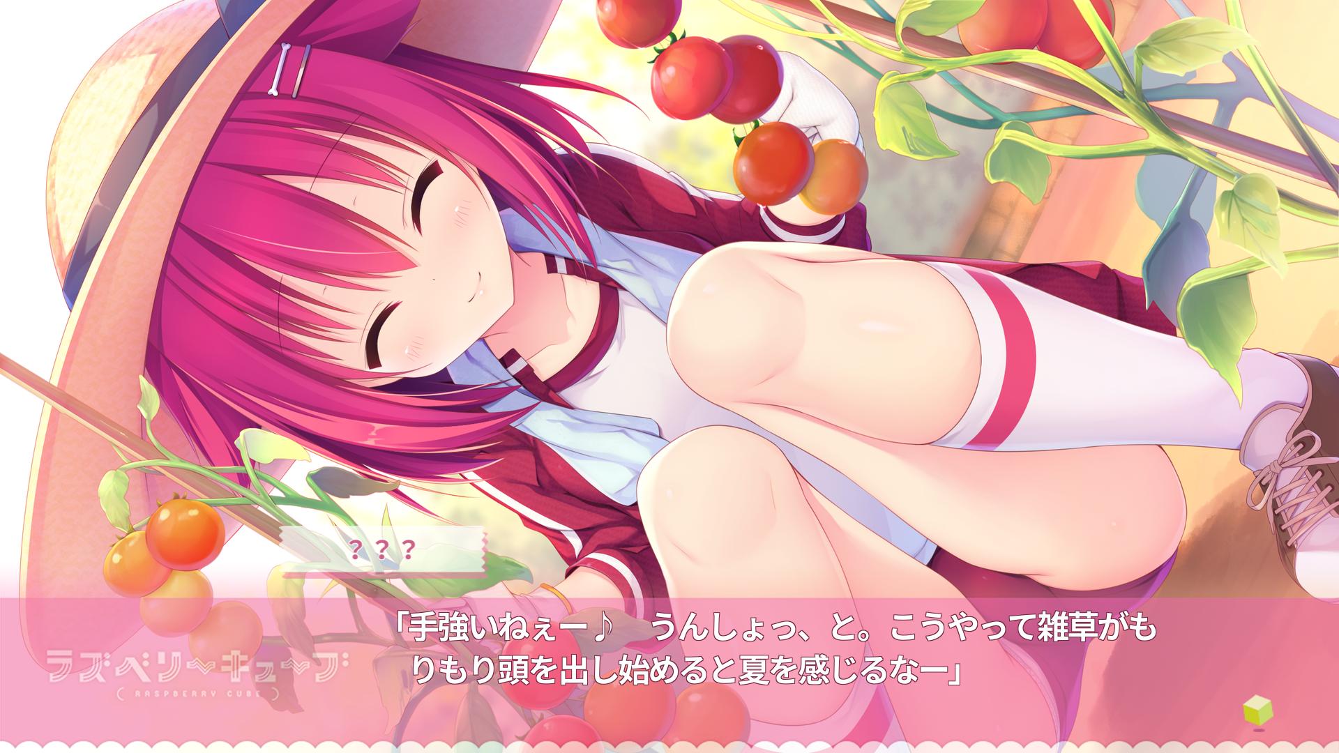 树莓立方体.Raspberry Cube
