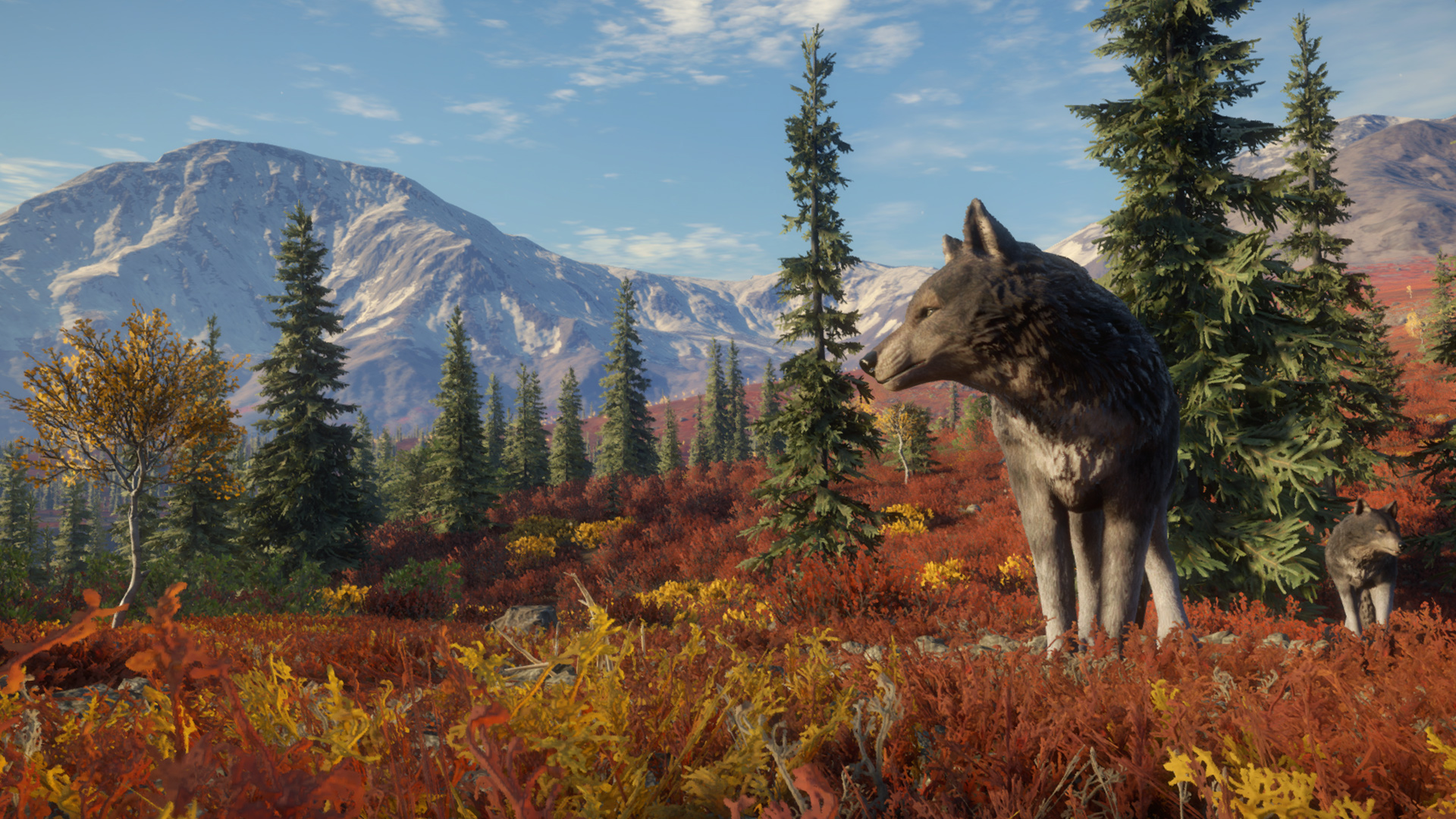 theHunter™ Call of the Wild Yukon Valley na PS4 Oficjalny sklep