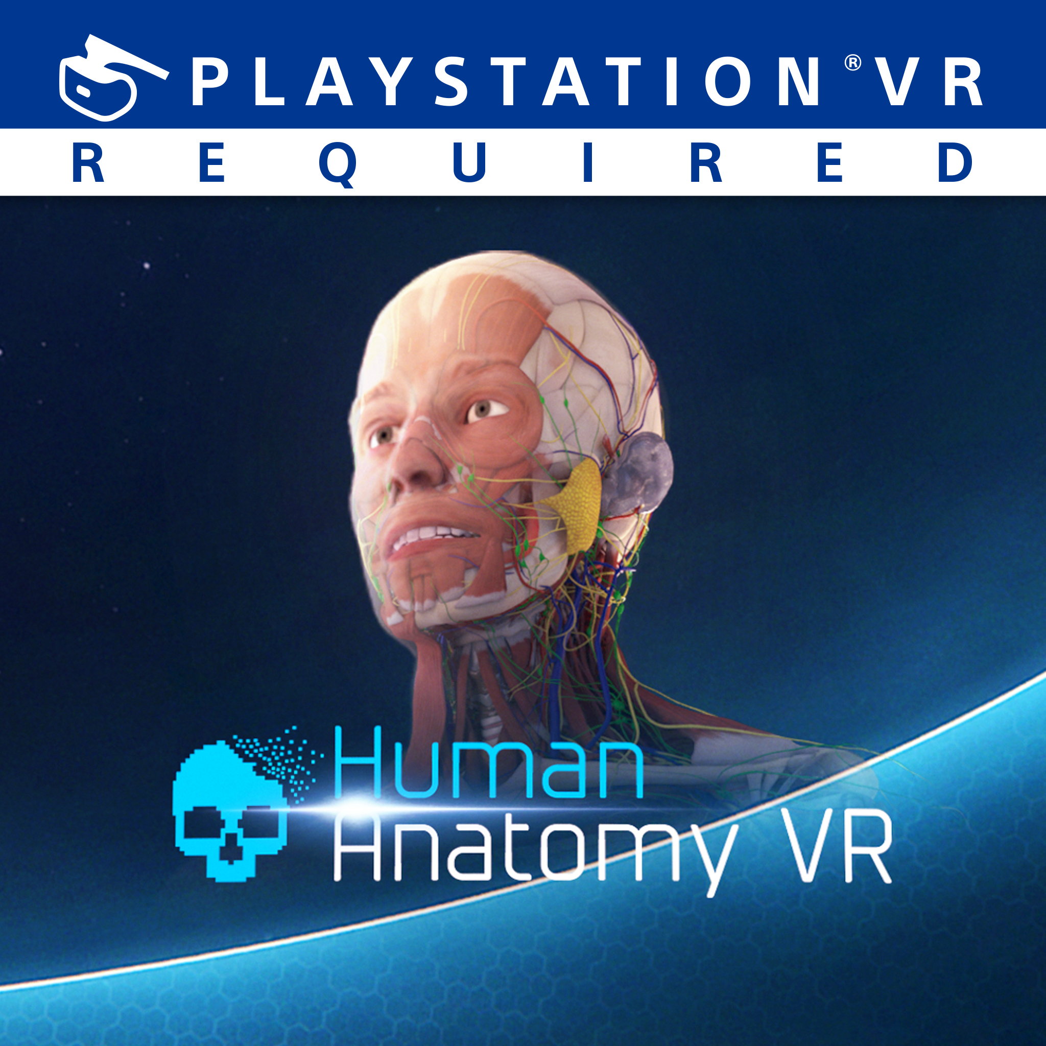 Human Anatomy VR PS4 Цена Україна