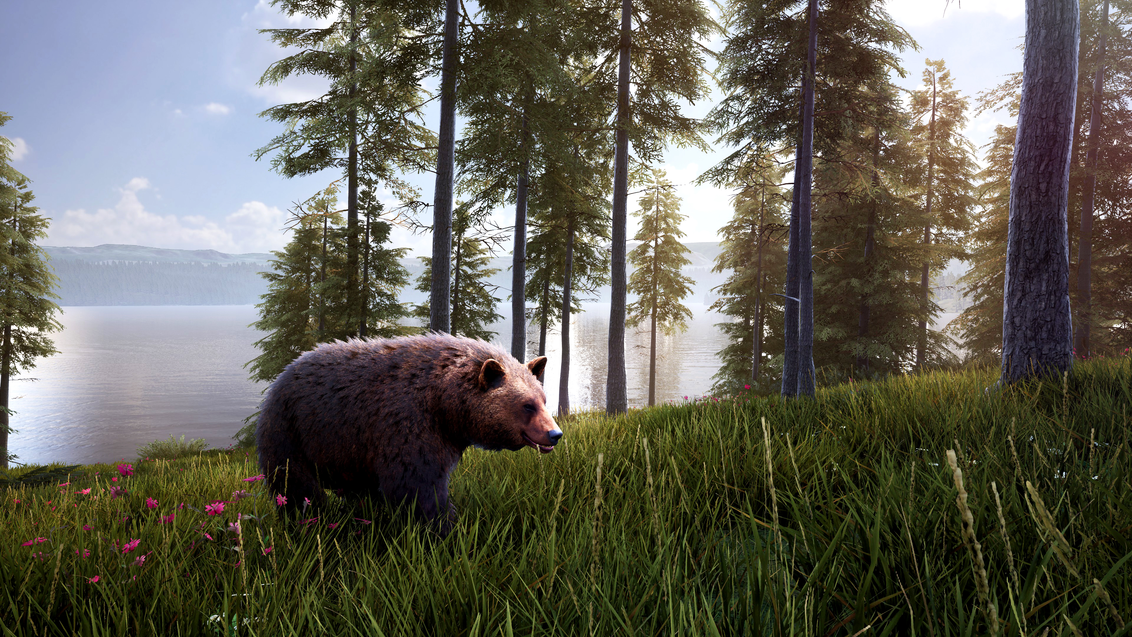 Где найти медведя. Хантинг симулятор. Hunting Simulator 2. Bear Hunter Edition. Hunter симулятор охоты.